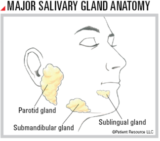 Head Neck Salivary Gland Cancer